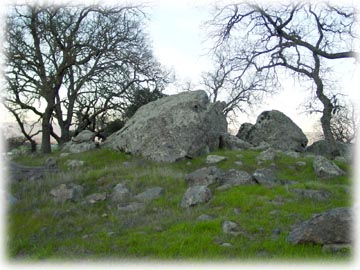 Boulders and oaks on Eagle Ridge hillsides